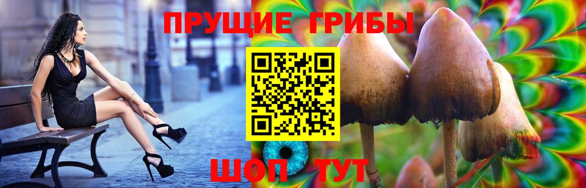 Псилоцибиновые грибы прущие грибы Кудымкар